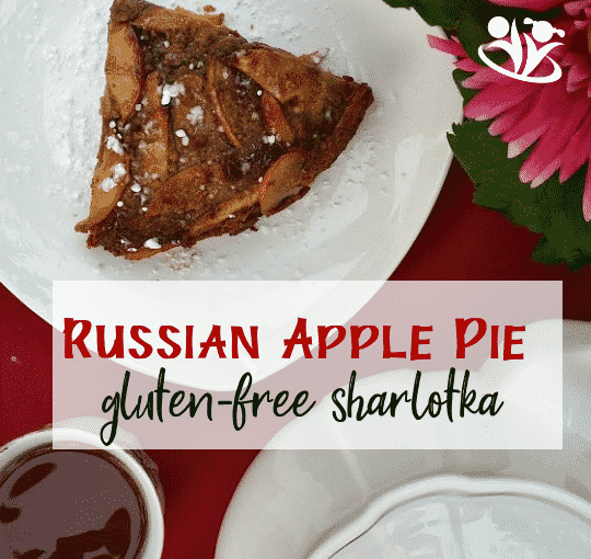 Easy-peasy gluten-free Russian apple pie. This is a recipe that your kids will enjoy making, baking and eating. #apple #pie
