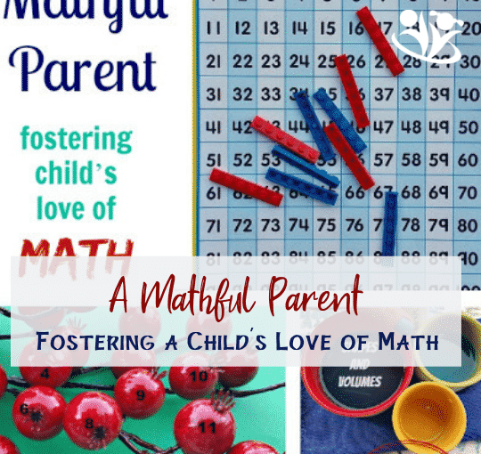 mathful parent is a resourceful adult who fosters child’s love of math in creative ways, concentrates on process-oriented math activities, manufactures positive learning experiences, takes advantages of learning opportunities, and blends facts with fun in unexpected and delightful ways.  