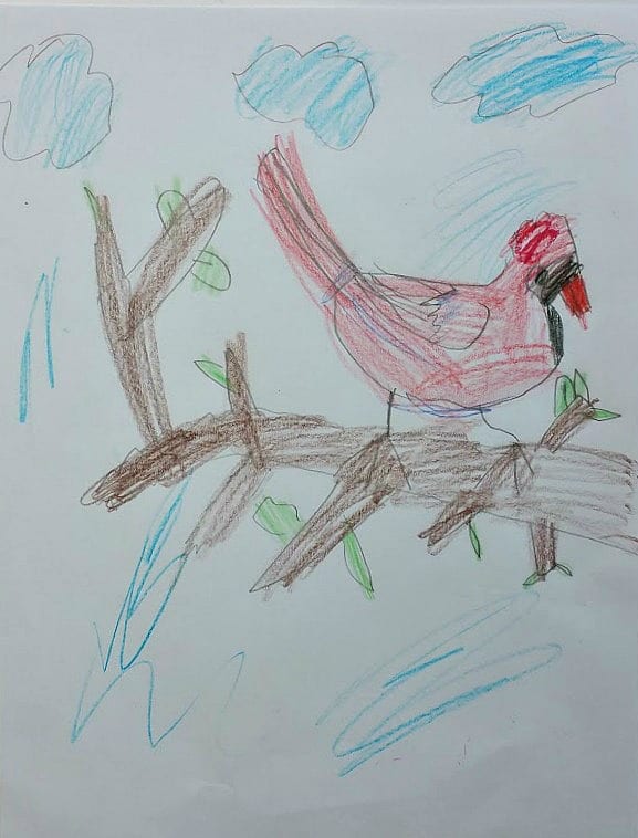 Cardinal by 7 year old, school pencil and crayons