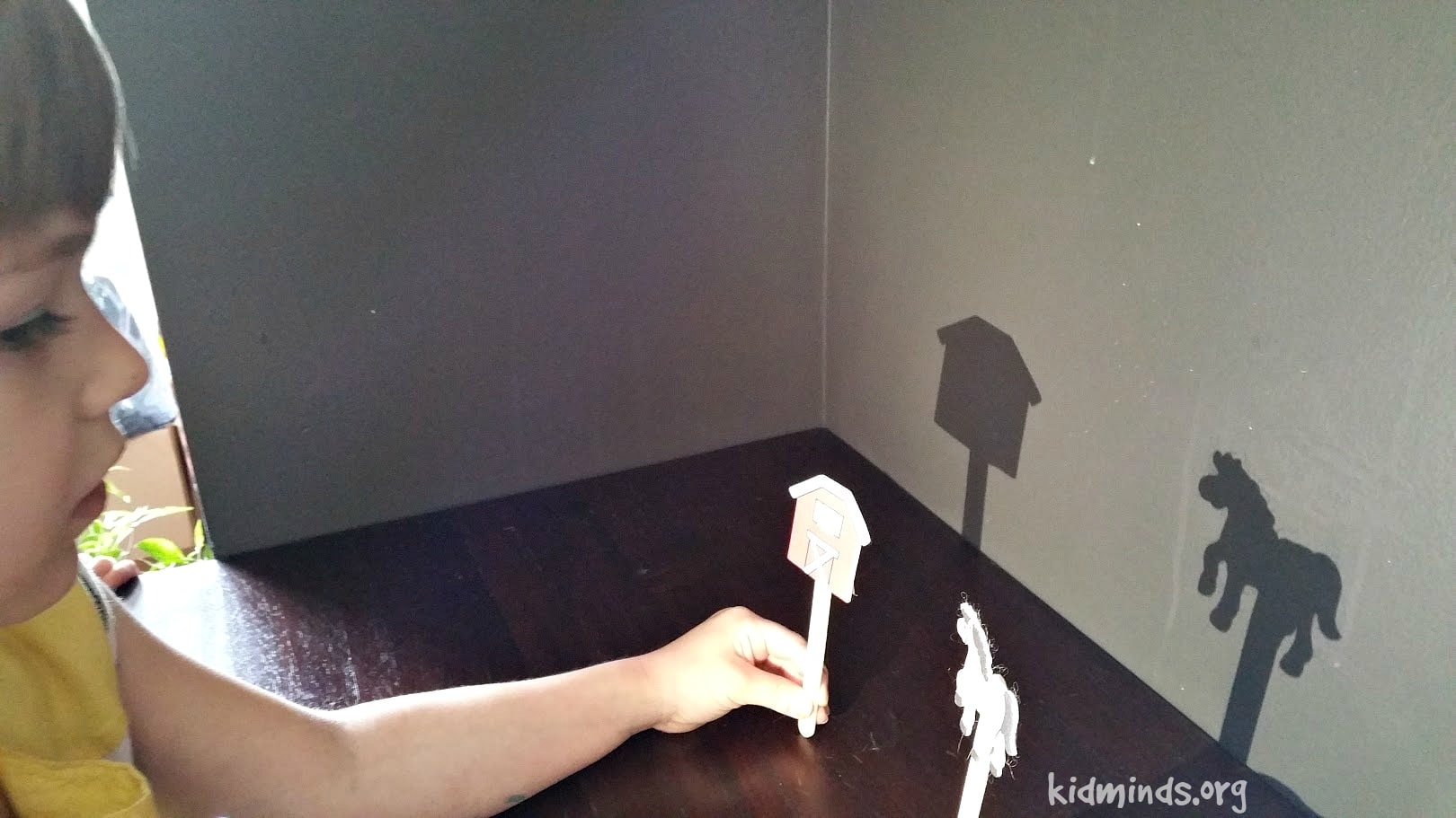 The Science of Shadows is a fun unit study for kids 4-9 that is perfect for a science camp at home!   Experiment with shadows, learn what is shadow, where it comes from and how it moves. 