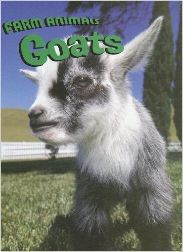 Goats farm animals
