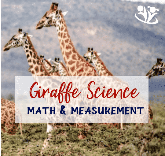 Giraffe Science Math and Measurement. To help you celebrate Giraffe Day with us, I created some free printables with Fun Giraffe Facts about giraffe biology, history, math, plus some multiple choice questions, true/false statements, and more. I will also show you how we measured giraffes' necks with standard and nonstandard unit measurements.