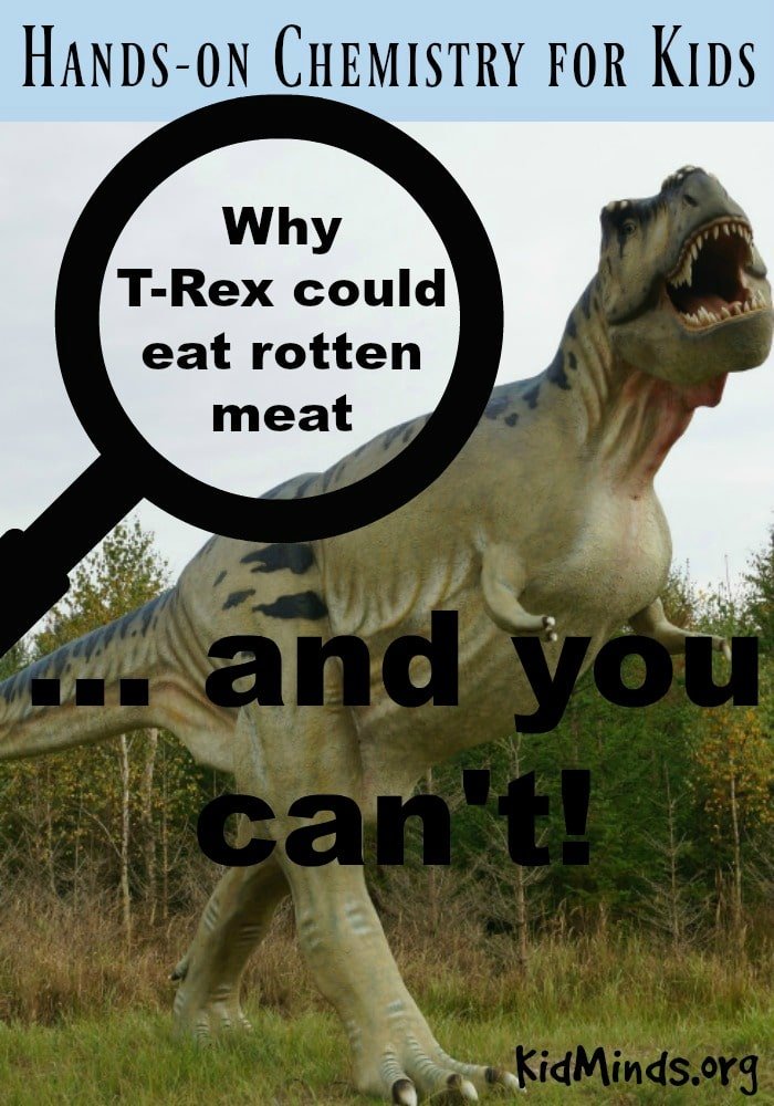 Why T-Rex could eat rotten meat and you can't.  Dive into this Hands-on Experiment to discover the value of acids and what they can do for you #chemistry #dinosaurs #handsonscience
