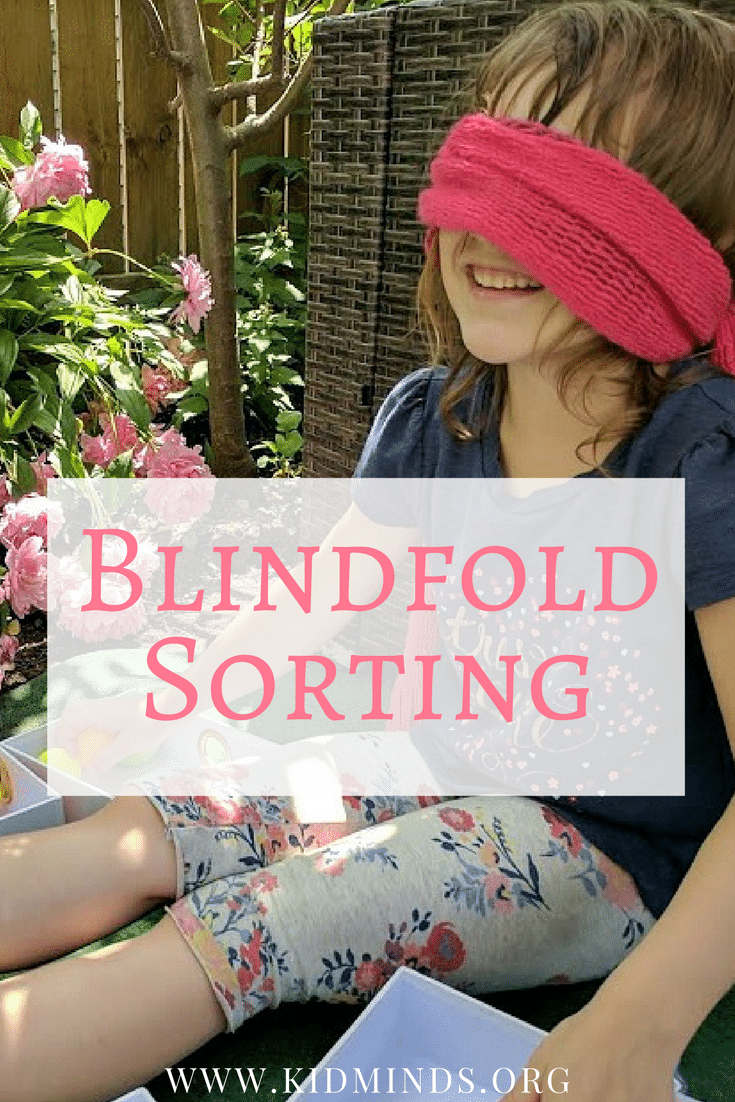 Blindfold Sorting gives your child an opportunity to manipulate the information using different senses. #math #learning