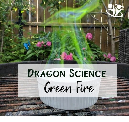 From dragon science to dragon art, there are many wonderful ways to play and learn with mighty dragons. #dragonday #makingmemories #dragons #kidactivities #familyfun #learningthroughplay #astheygrow #funathomewithkids