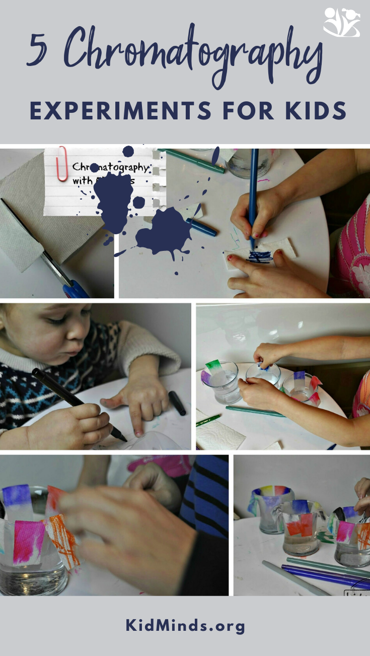 Simple chromatography experiments you can do with kids at home... with food coloring, candy sprinkles, essential oils, and two types of markers. #handsonlearning #chromatography #creativelearningideas