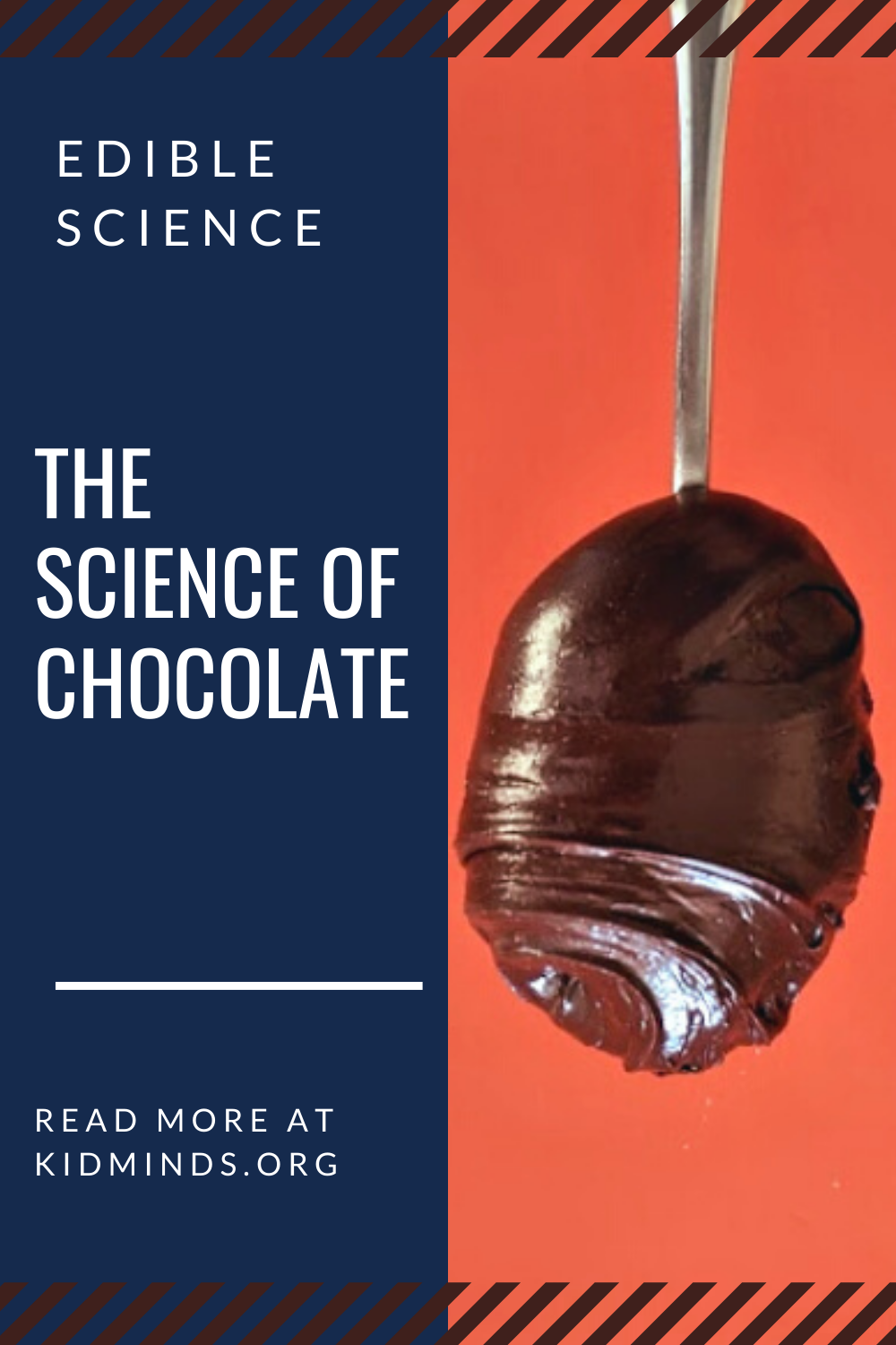 Homemade chocolate frogs that are simple, healthy, and delicious. This is one magical treat you won’t mind indulging in with your little Harry Potter fans. #handsonlearning #science #kidsactivities #HarryPotter #chocolatefrogs