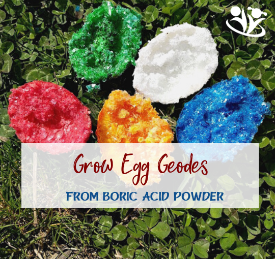 How to use boric acid powder to grow crystal geodes inside duck or chicken eggs. #kidsactivities #science #handsonlearning #laughingkidslearn #kidminds #homeschooling