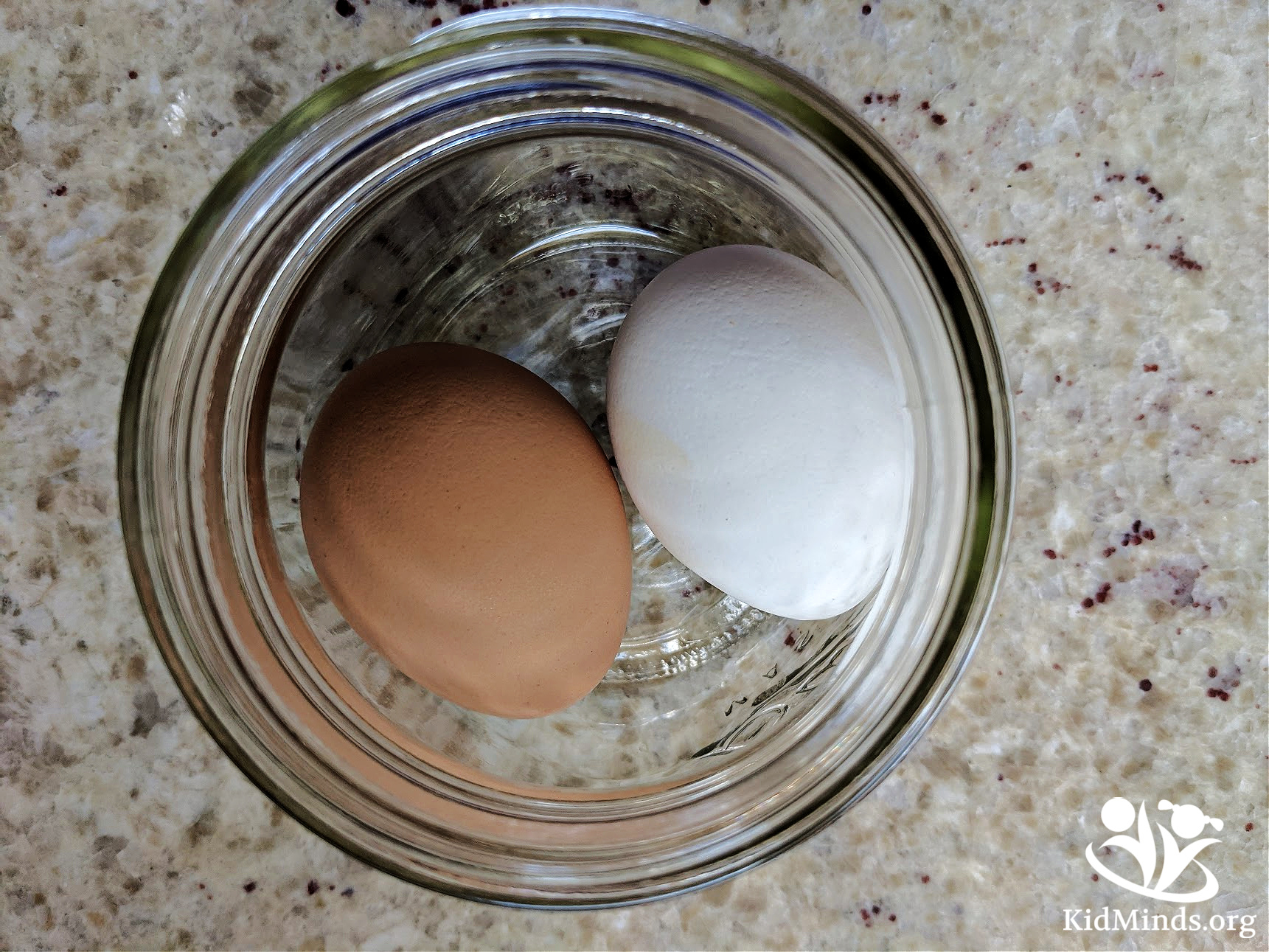 Whether you’re looking for an easy #science activity, a spring-themed #experiment, some kitchen science, a hands-on #egg exploration, or a kid-friendly introduction to #chemistry, this one is for you!  #handsonlearning #kidsactivities #STEAM #calcium