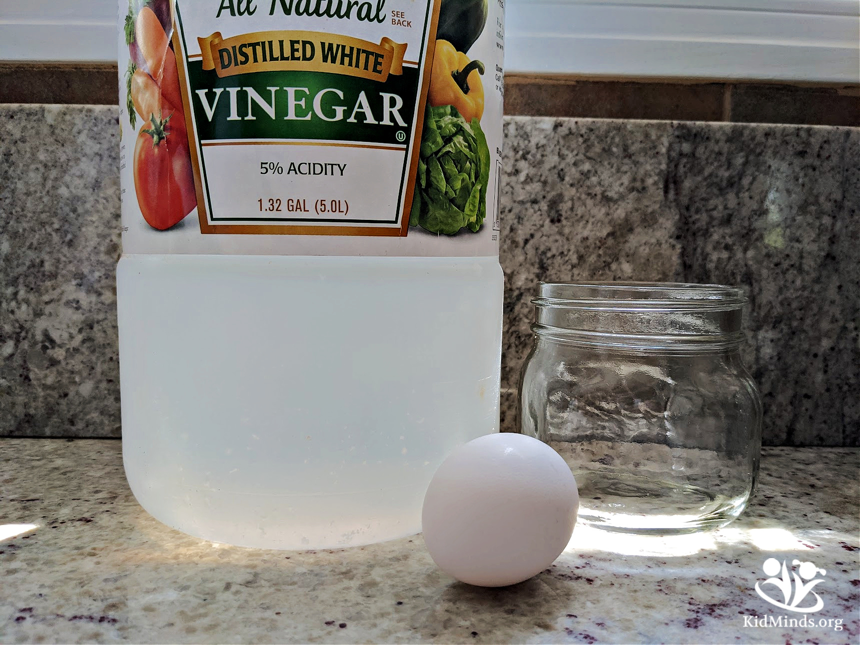 Whether you’re looking for an easy #science activity, a spring-themed #experiment, some kitchen science, a hands-on #egg exploration, or a kid-friendly introduction to #chemistry, this one is for you!  #handsonlearning #kidsactivities #STEAM #calcium