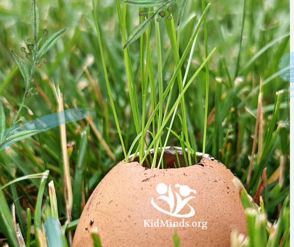 Celebrate summer and all the joys it brings with these nine gardening activities for kids! #summer #kidsactivities #natureinspiredlearning #kidminds #handsonlearning