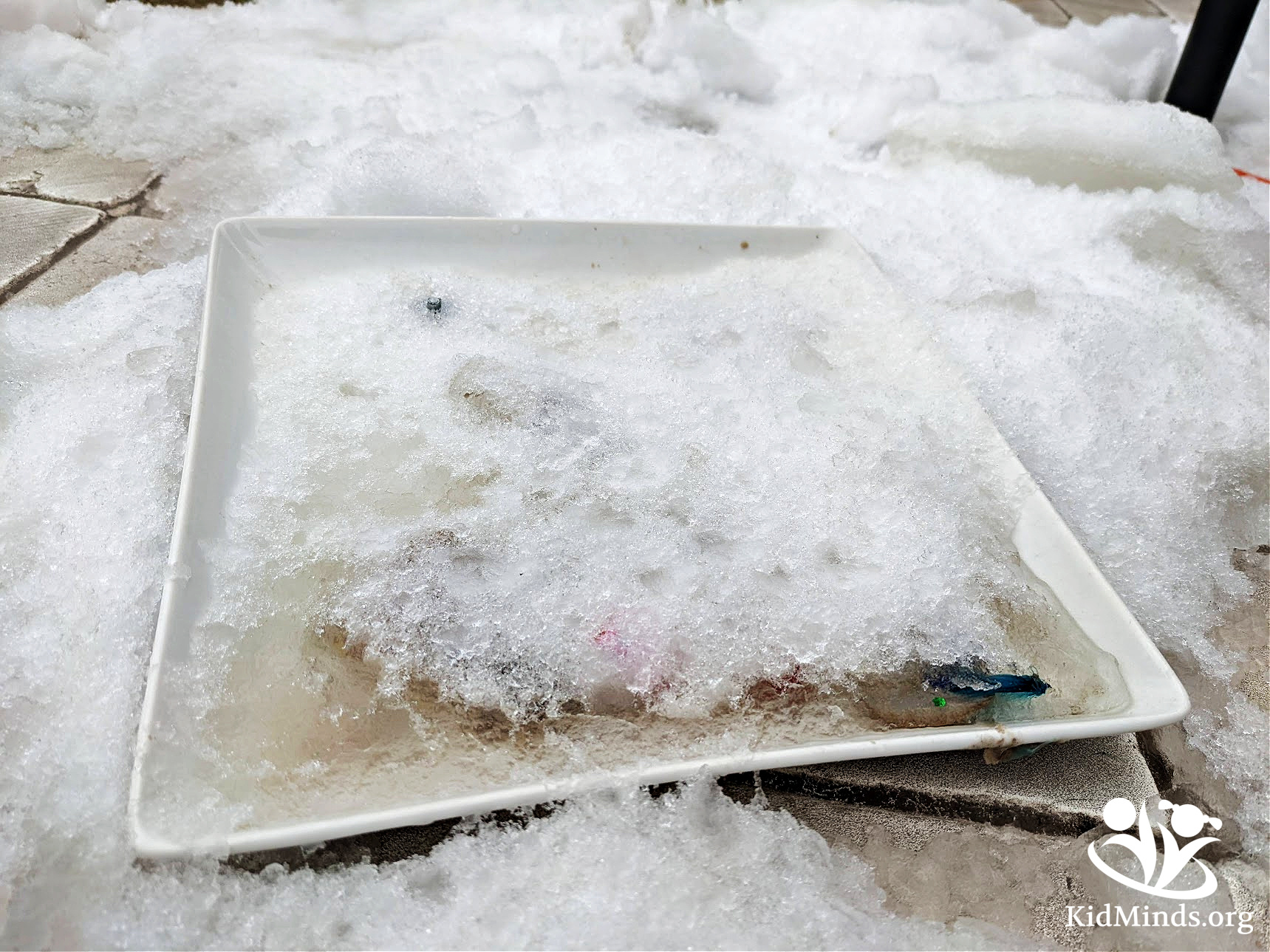 Fun Ice Archeology experiment to see what kinds of things preserve well in ice and what happens to them when they are defrosted. #kidsactivities #STEM #winteractivities #icescience