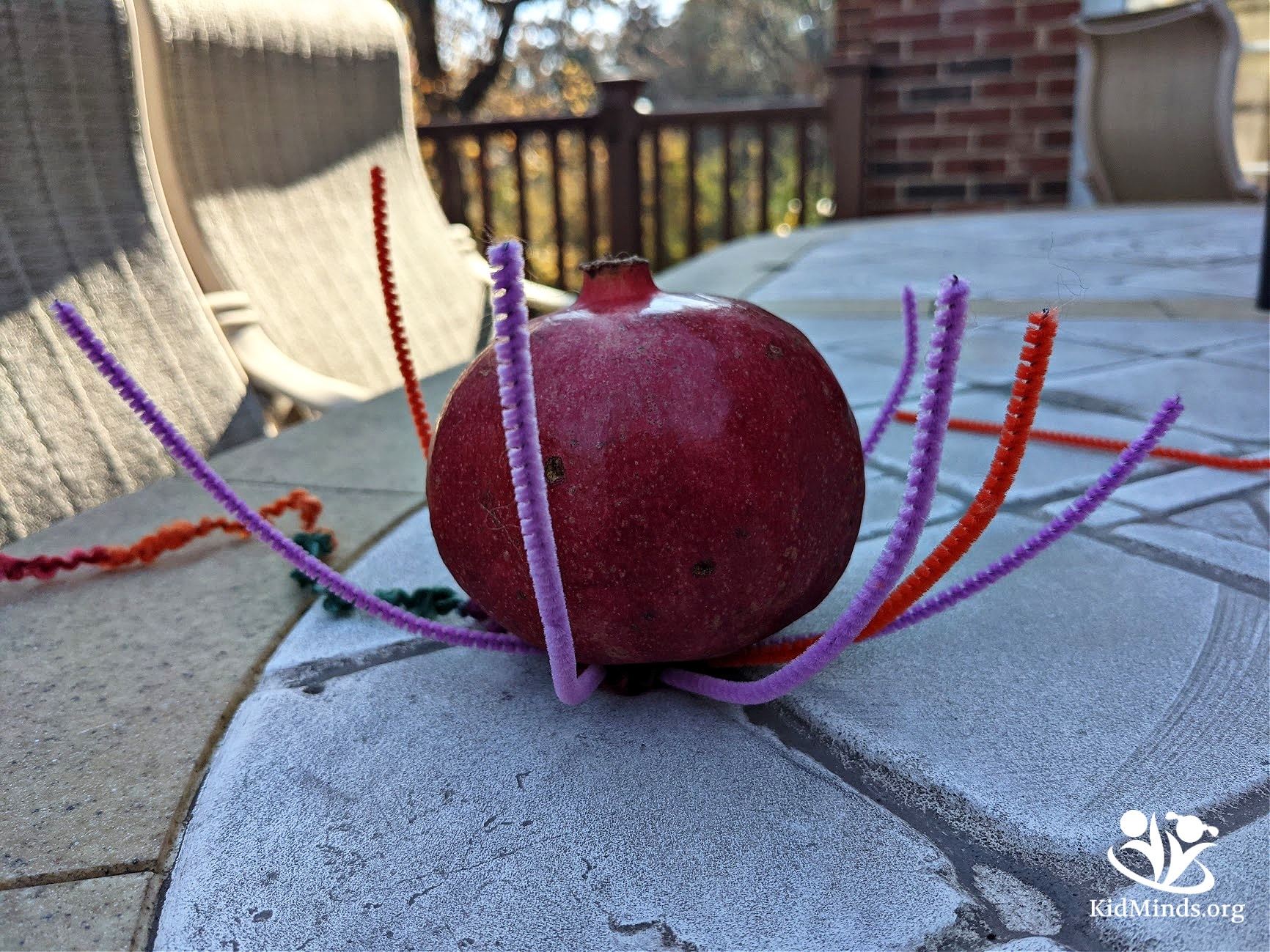Here is an educational (and surprisingly meditative) activity to do around Thanksgiving to feel like an early settler: weave a nutting basket. #fall #kidsactivities #forkids #history #laughingkidslearn #kidminds #mentalhealth4kids