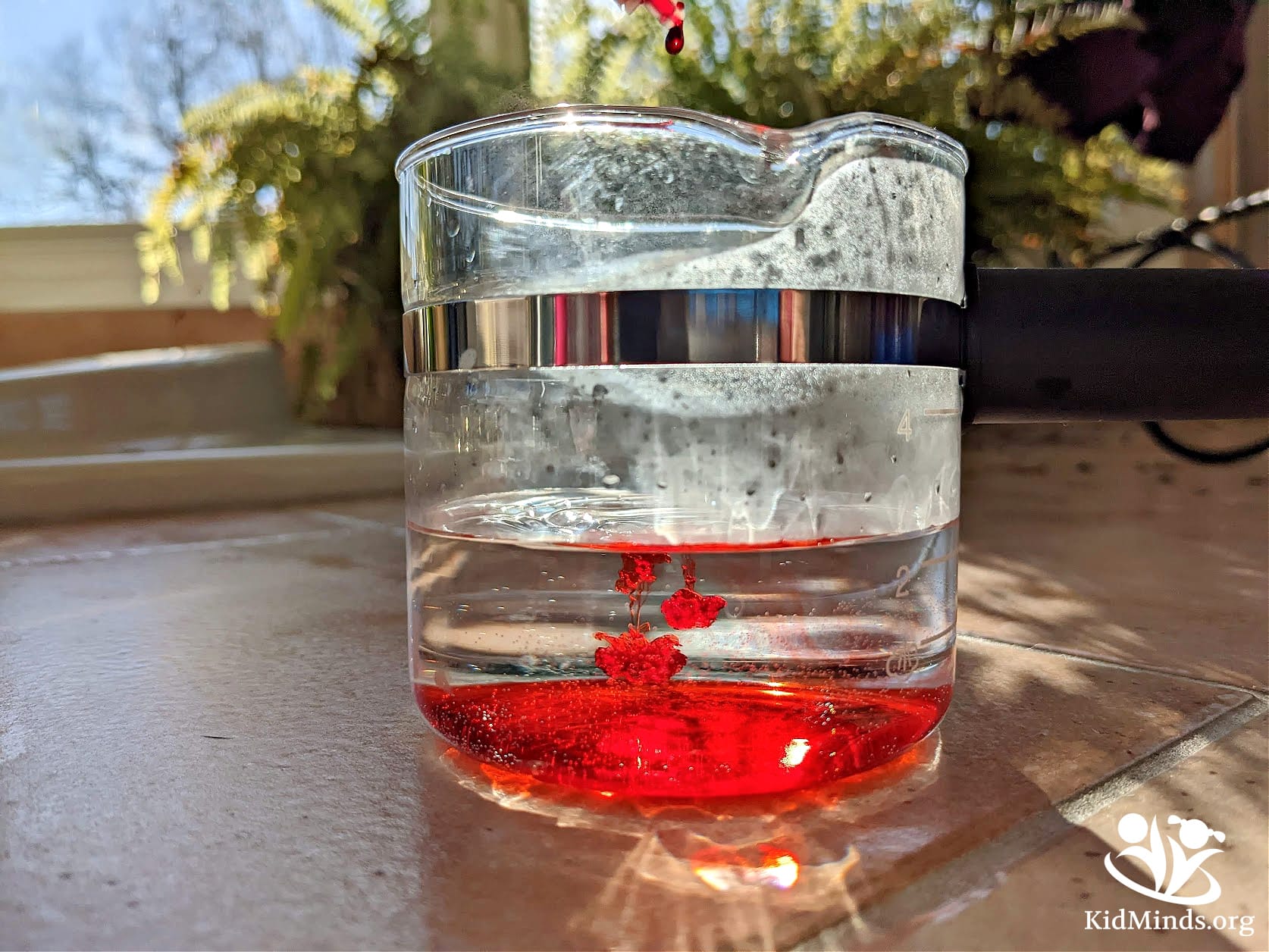 The Icy-Hot Christmas science experiment allows your kids to explore the concepts of hot and cold, water density, thermal energy, and even color mixing.  #kidsactivities #scienceforkids #elementaryeducation #kidminds #handsonlearning #christmasscience