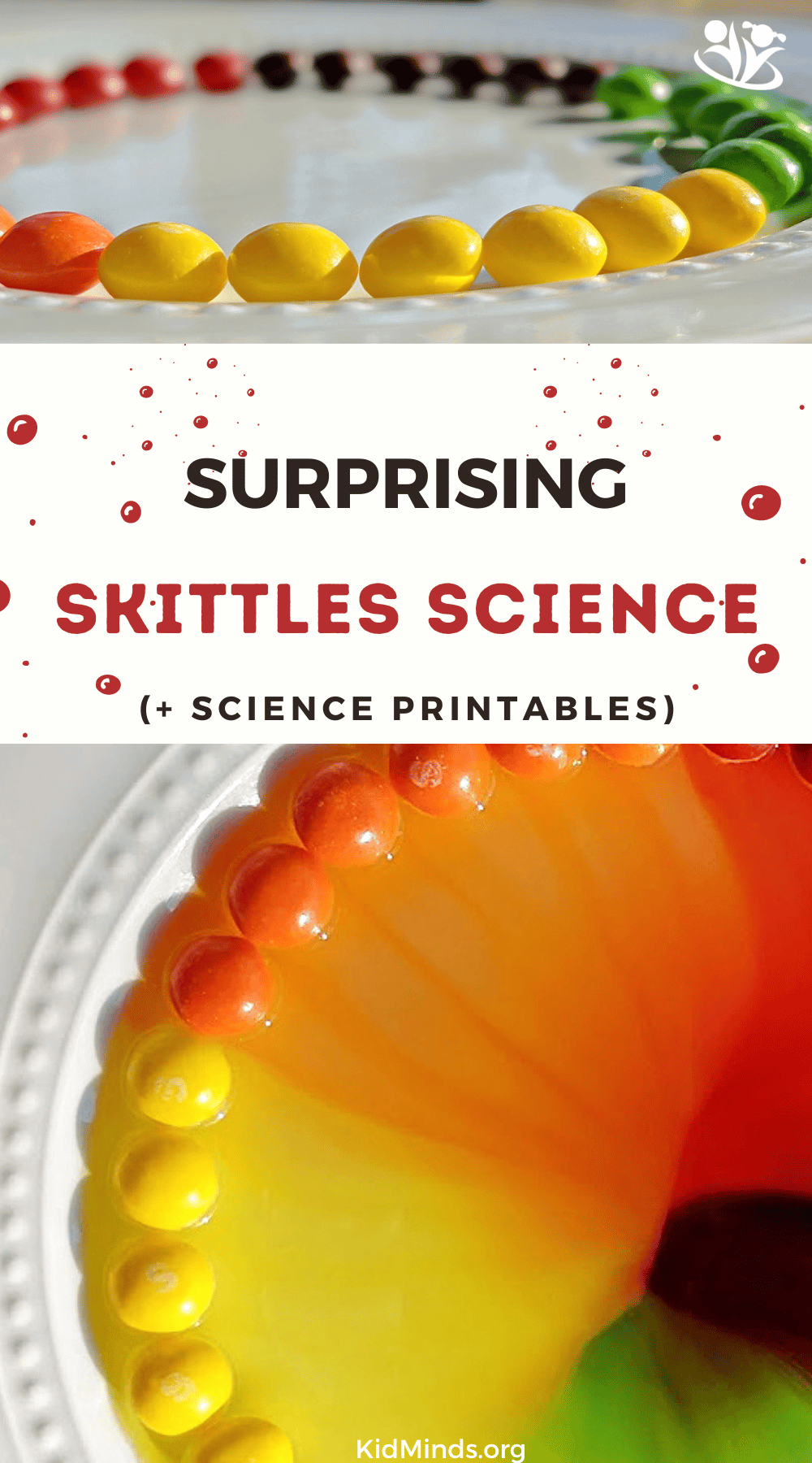 Skittles science activity is bright and beautiful and a real hit with kids! Learn about dissolving, diffusion, and stratification with candy. Scroll down to the science section to download your FREE science printables. #kidsactivities #STEM #laughingkidslearn #kidminds #earlyeducation #funwithscience