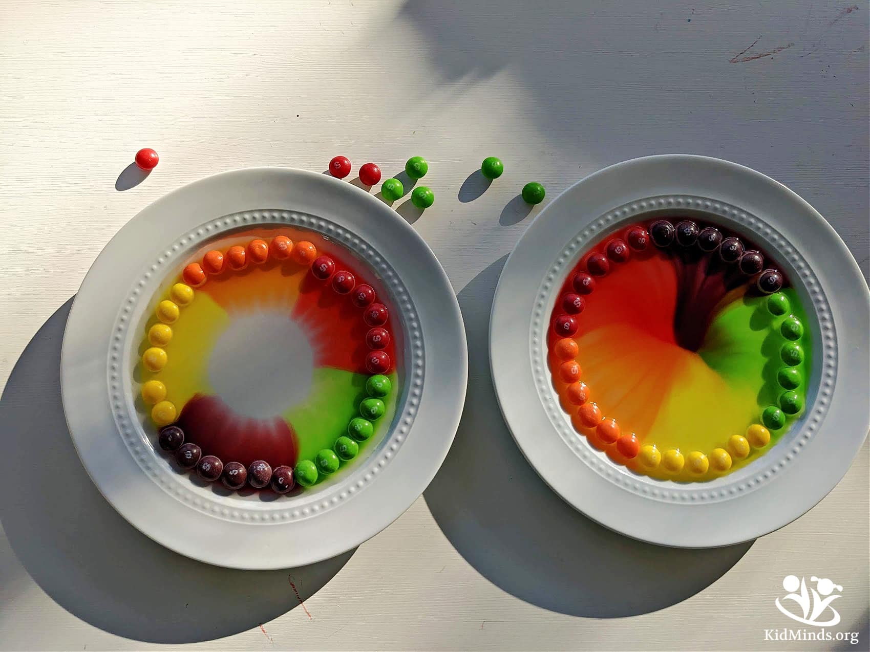 Skittles science activity is bright and beautiful and a real hit with kids! Learn about dissolving, diffusion, and stratification with candy. Scroll down to the science section to download your FREE science printables. #kidsactivities #STEM #laughingkidslearn #kidminds #earlyeducation #funwithscience