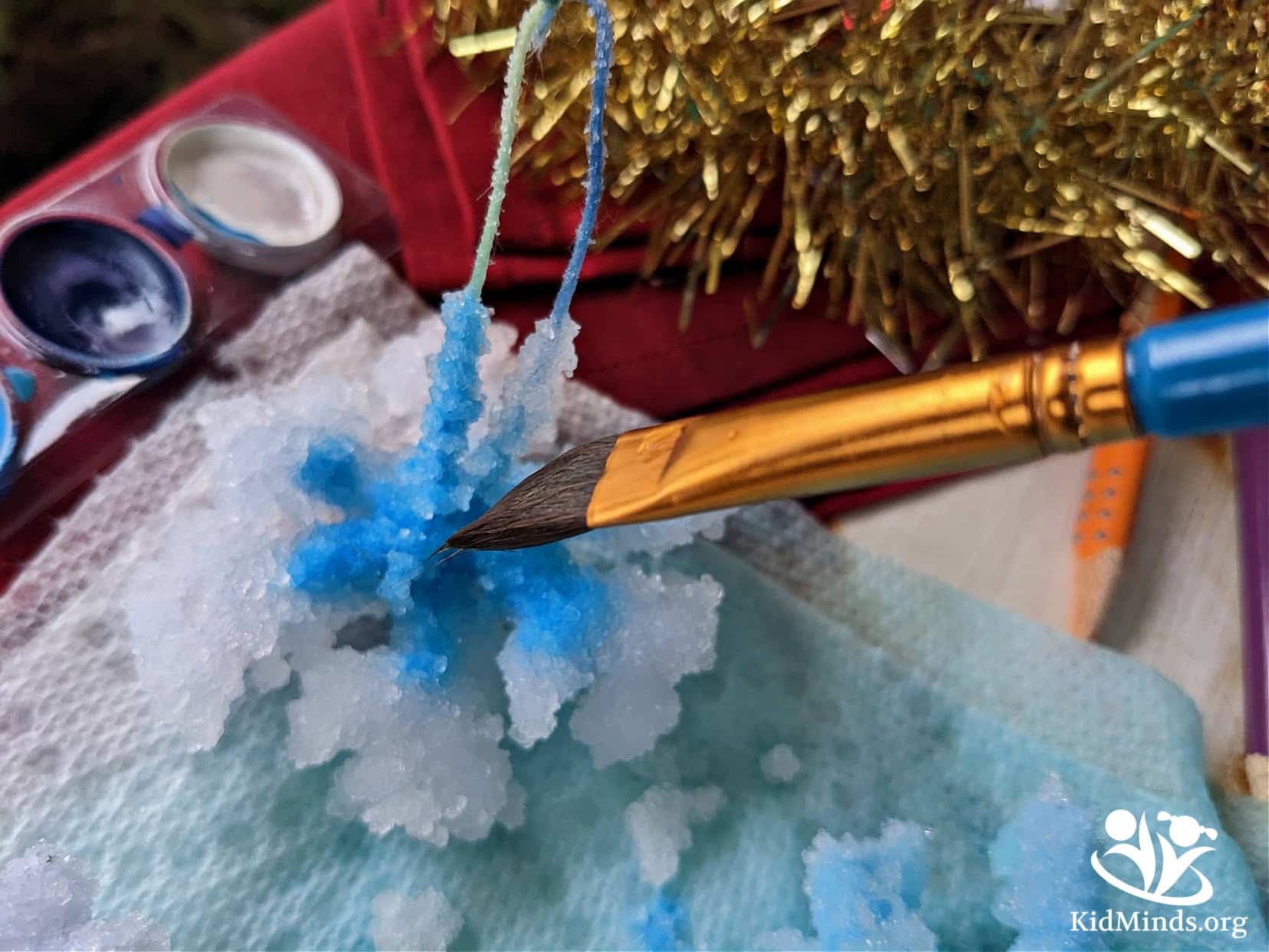 These crystal snowflakes are not only beautiful to look at, but they also offer a fantastic science lesson as well. This activity explores saturation, evaporation, solutions, how temperature affects chemistry, and how molecules can fit together in a repeated pattern (crystallization) . #kidscience #STEM #elementaryeducation #kidminds #handsonlearning #kidsactivities