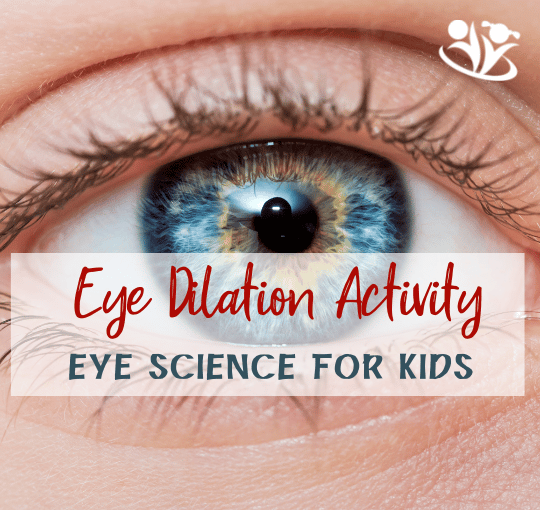 This pupil dilation experiment is a hands-on way to discover how quickly our eyes adjust to a variety of light conditions. #kidsactivities #handsonlearning #science #STEM
