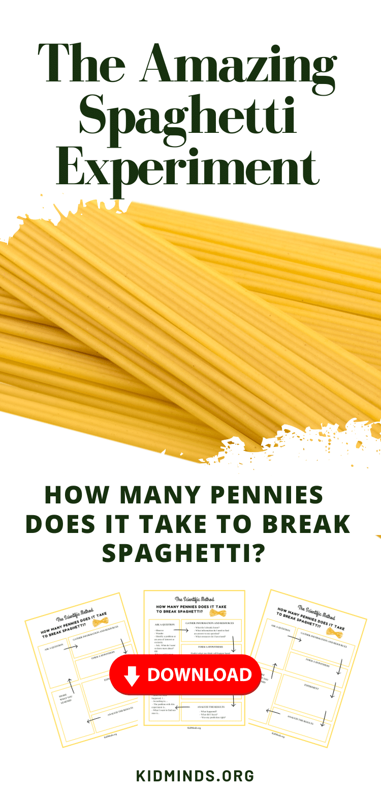 Find out how many pennies it takes to break spaghetti and learn about the science behind why spaghetti breaks in the first place.  #kidsactivities #kidminds #handsonactivities #STEM #scienceforkids #spaghetti #forkids #elementaryeducation #funwithscience