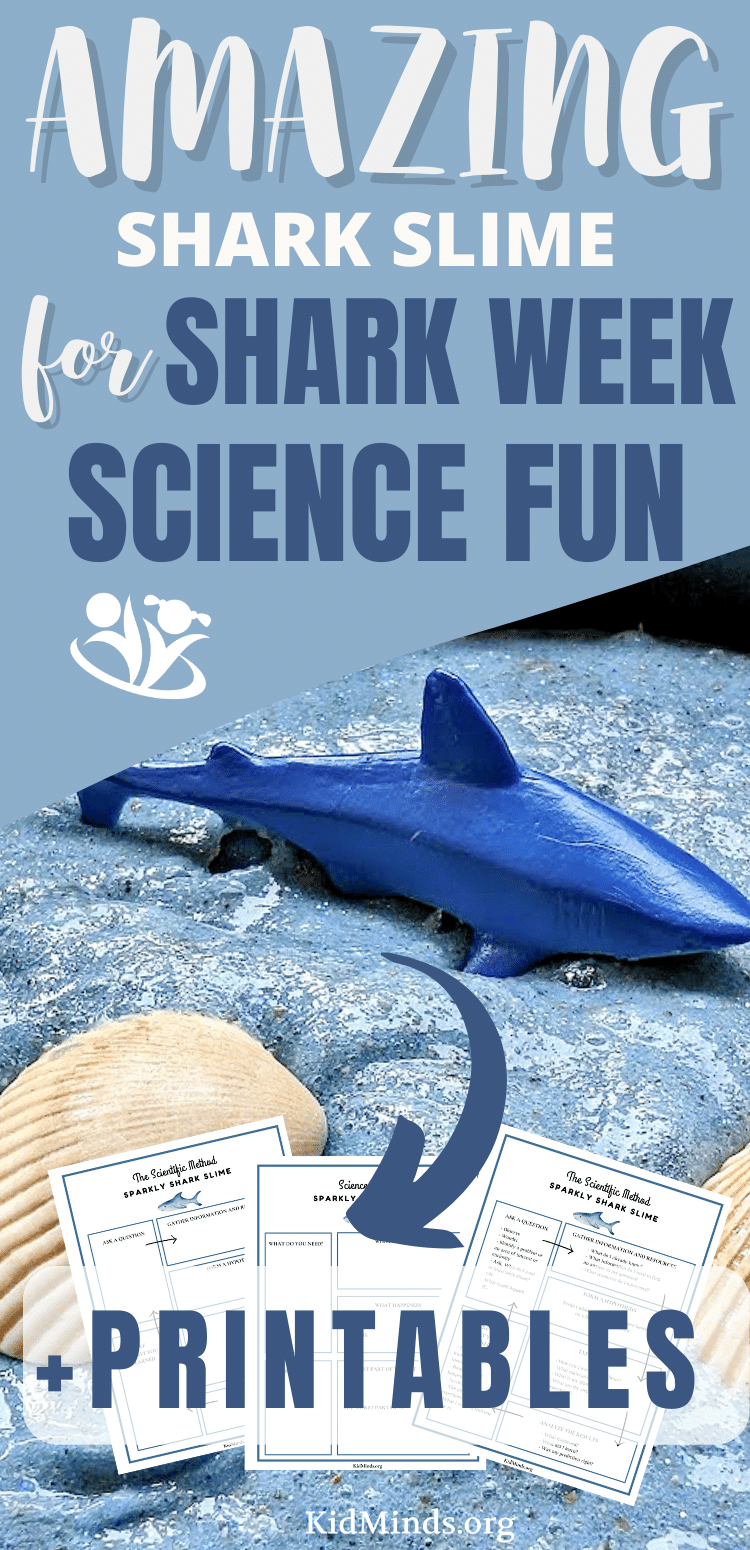 We are using sand, shaving cream, and sparkly glue to create amazing shark slime. Not only is shark slime a fun activity, but it's also a great way to teach your kids some science concepts. Scrolls down to download all the wonderful shark printables! #kidsactivities #kidminds #earlylearning #STEAM #science4kids #laughingkidslearn #kidsactivity #sharkweek #sharks #sharkscience