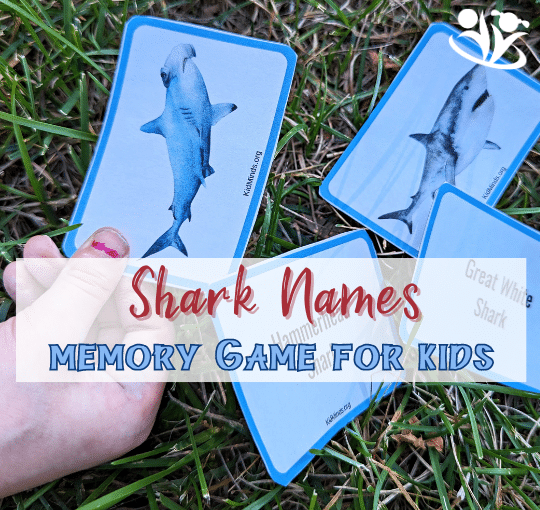 This beautiful Shark Names memory game is simply addicting. It makes a perfect quick, and easy activity for any shark enthusiast on any day of the year. #kidsactivities #printable #shark #sharkweek #sharkscience #handsonlearning #memorygame #earlylearning #laughingkidslearn #kidminds