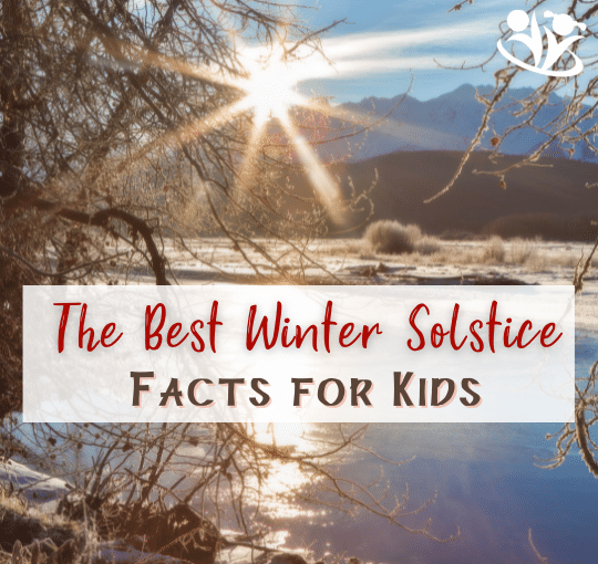 Let’s delve into the enchanting realm of winter with kids and learn some interesting facts about the winter solstice. #kidsactivities #wintersolstice #facts4kids #funlearning #earlyeducation #winterfacts #earlylearning #download