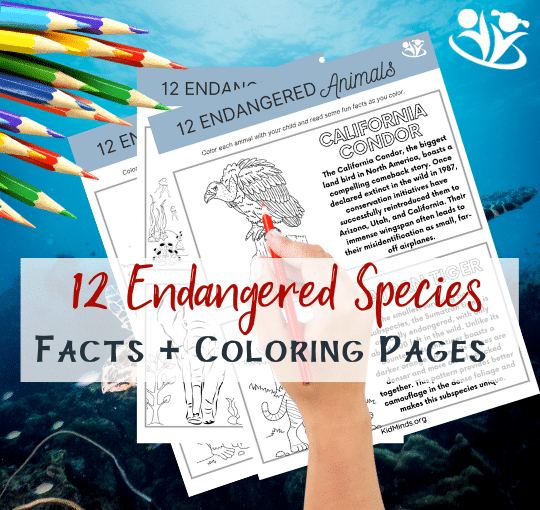 Earth Day is coming up, and it's a great reason to learn more about endangered species with our printable facts coloring pages. These pages will not only build awareness about animal conservation but also help kids of all ages develop creativity, focus, motor skills, and color recognition. #kidsactivities #creativelearning #kidminds #endangeredspecies #EarthDay