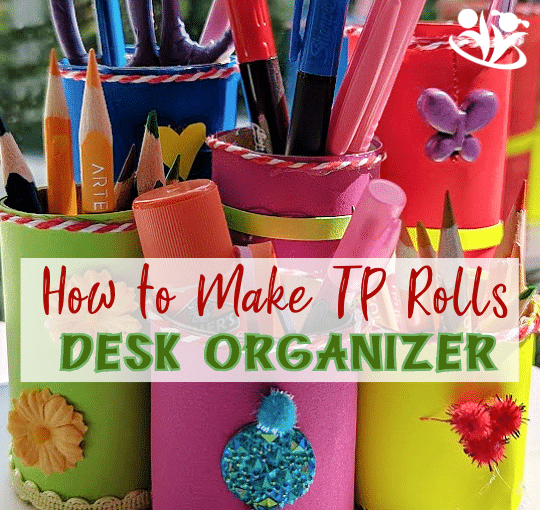 How to Make Colorful TP Roll Desk Organizer